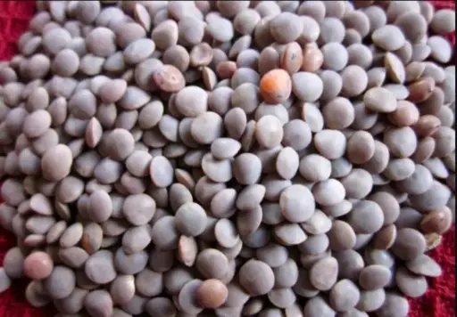 Khadi Masor Dal
